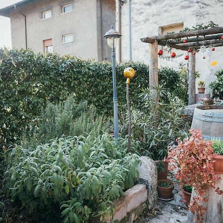 B&B Pedelmont Mezzocorona Exteriér fotografie