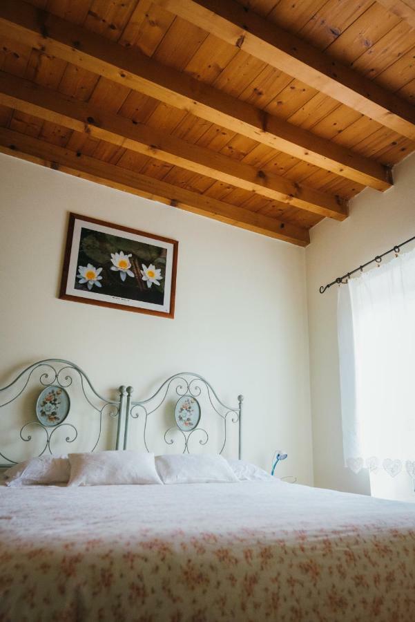B&B Pedelmont Mezzocorona Exteriér fotografie